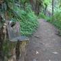 Silver Falls State Park