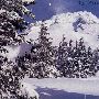 Mount Hood