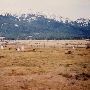 Alder Slope Cemetery