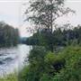 Lewis River