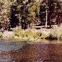 Metolius River
