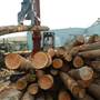 Blue Mountain Lumber