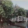 Salem Streams