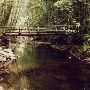 Whittaker Creek