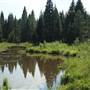 Pond - Dead Indian Memorial Rd.
