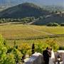 Belle Fiore Winery