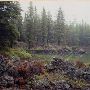Sparks Lake