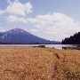 Sparks Lake