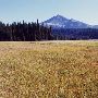 Sparks Lake