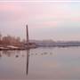 House Boat - 10070092