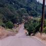 Weaver Road - Riddle
