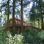 Cabin Retreat - 10071420