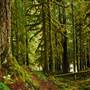 Old Salmon River Trail