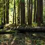 Old Salmon River Trail