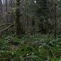 Silver Falls State Park