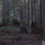 Silver Falls State Park