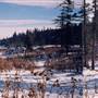 Jaz Ranch