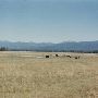 Kerns Ranch