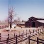 Pine Desert Ranch