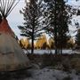 Lippanzer Ranch