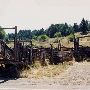 Wendling Road Ranch