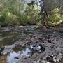 Silver Falls State Park