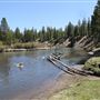 La Pine State Park: Big Pine