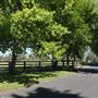Tumalo Bonus Property (Driveway)