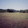 Sunnyhill Airstrip