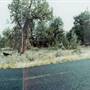 103rd off Hwy 126