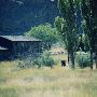 Old Internment Camp