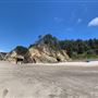 Hug Point State Park