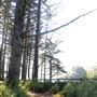 Arch Rock Picnic Area