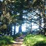 Arch Rock Picnic Area
