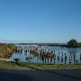 Bandon, City of