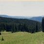 Timberline Trail Meadow
