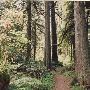 Oxbow Park