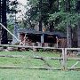 House #10002618