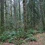 Oxbow Park
