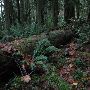 Oxbow Park