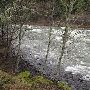 Clackamas River - Toilet Bowl Rapids