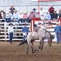 St Paul Rodeo