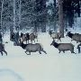 Elkhorn Wildlife Refuge