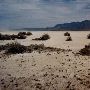Lake County Desert Areas
