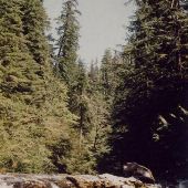 North Santiam Waterfalls