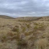 Oregon Trail - Corral Spring Site