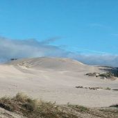 Winchester Bay State Park
