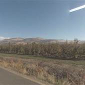 Bear Creek Orchards Inc.