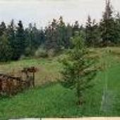 Scotts Mills Property #2