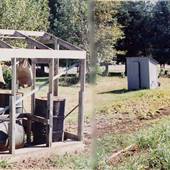 Dahlia Garden Nursery